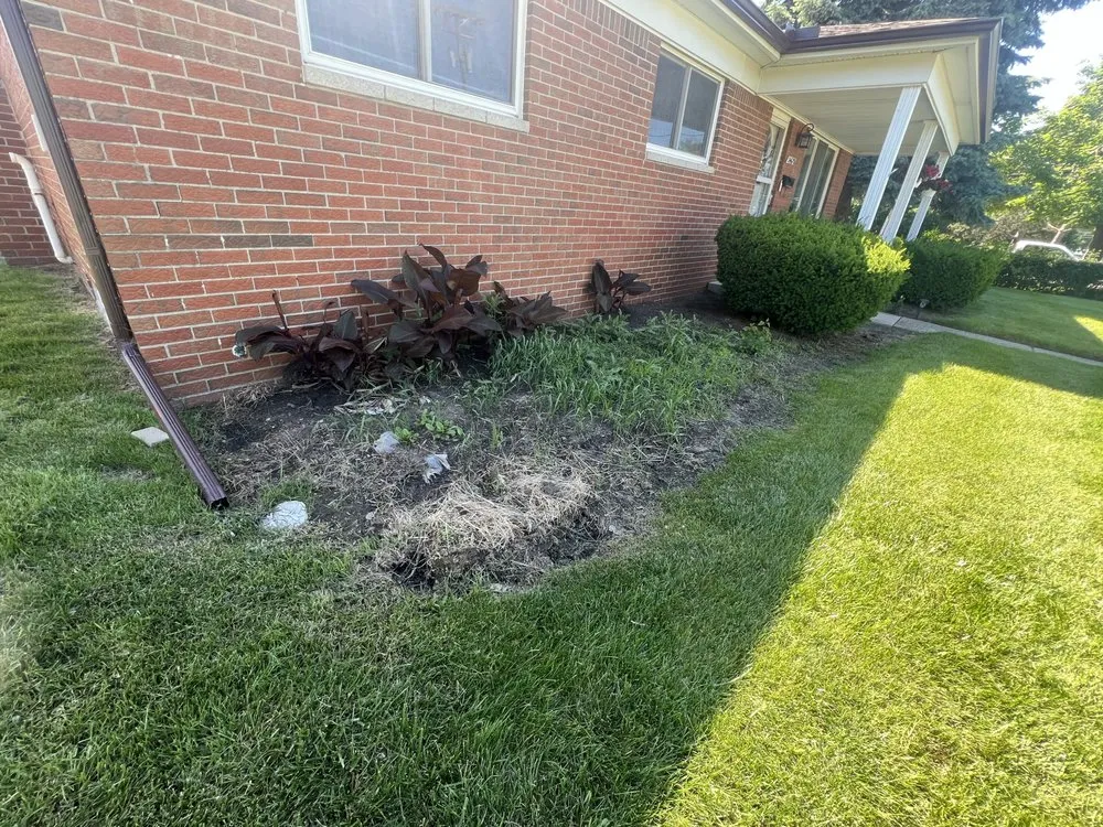 Trusted landscape design experts serving St. Clair Shores, MI - Grassland