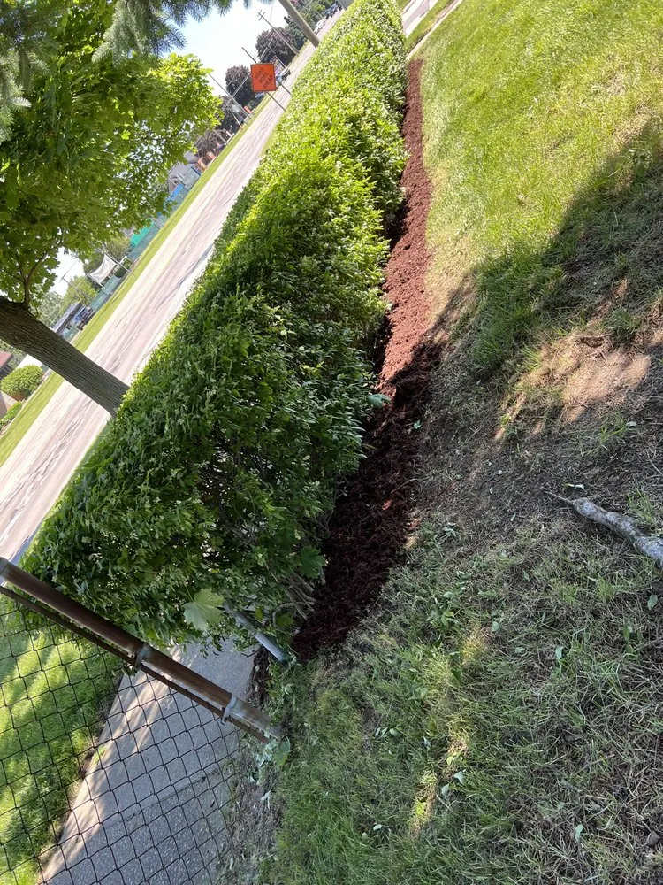 Custom lawn mowing service in St. Clair Shores, MI - Grassland