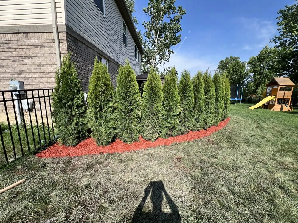 Professional garden landscaping for beautiful yards across St. Clair Shores, MI - Grassland