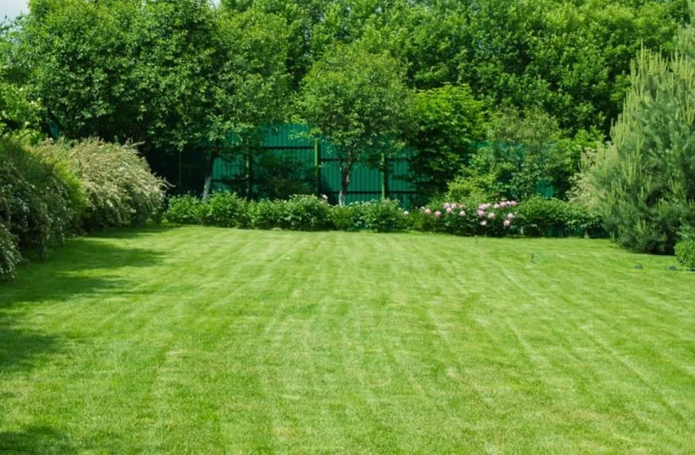 Custom outdoor landscaping in Fort Worth, TX by Grasslands Lawn Care