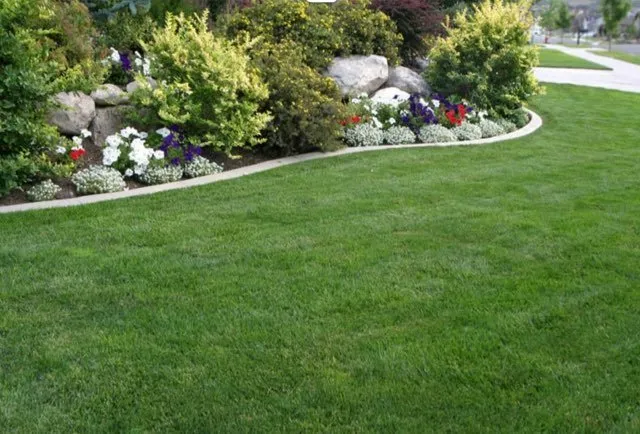Reliable residential landscaping experts serving Fort Worth, TX - Grasslands Lawn Care