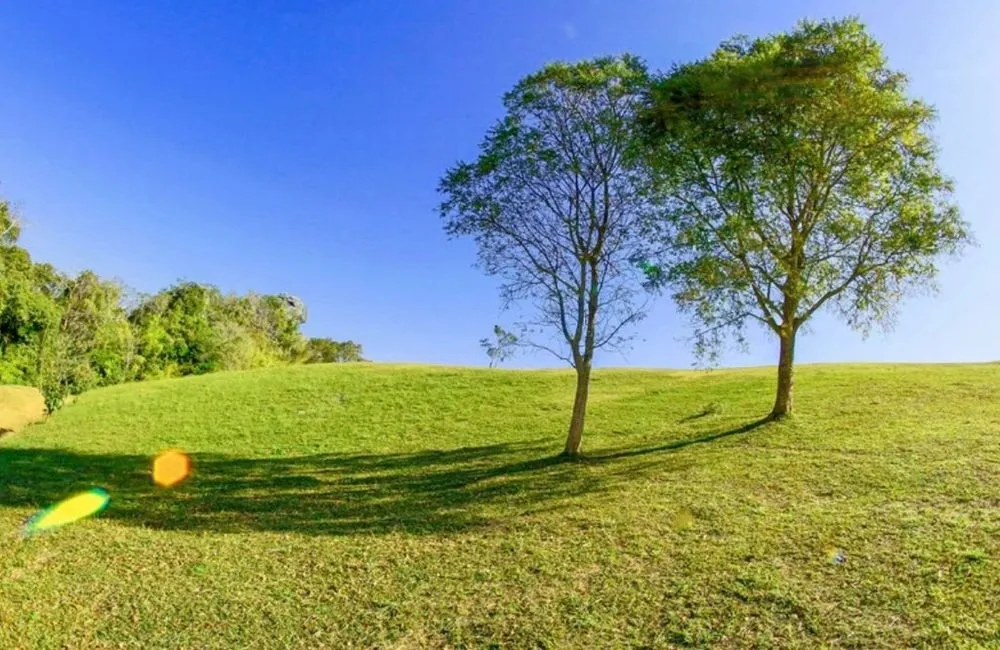 Custom landscape installation for outdoor upgrades in Fort Worth, TX by Grasslands Lawn Care