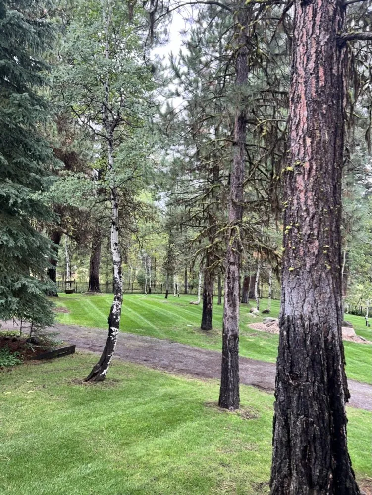Custom lawn mowing service in New Meadows, ID - Grassman Lawn Care