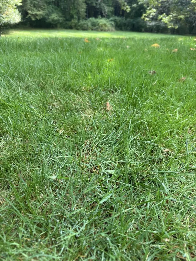 Reliable outdoor landscaping in Georgetown, MA - Grassmaster Plus