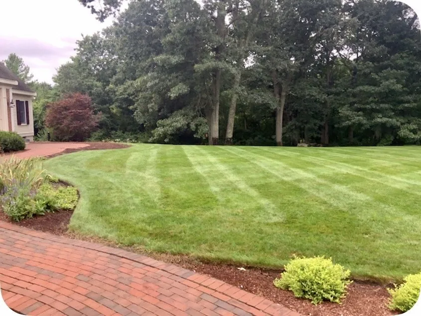 Expert residential landscaping in Georgetown, MA by Grassmaster Plus
