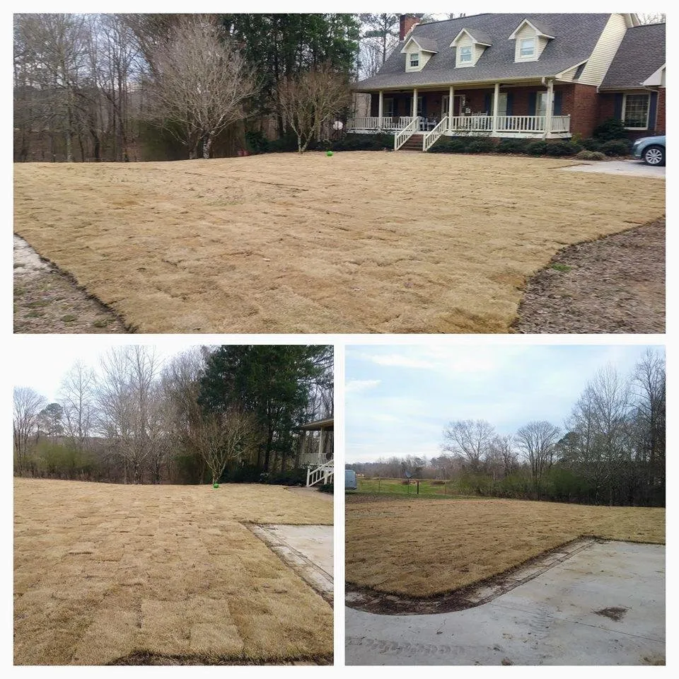 Top-rated lawn mowing service in Falkville, AL by Grassmasters Lawn Care and Landscaping