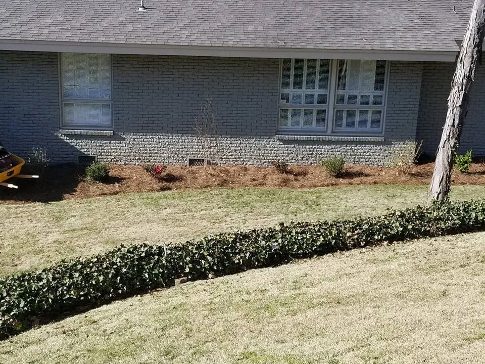 Trusted lawn care service experts serving Falkville, AL - Grassmasters Lawn Care and Landscaping