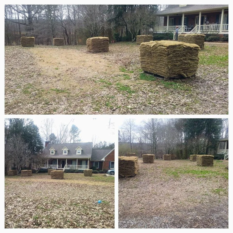 Expert residential landscaping for year-round maintenance in Falkville, AL by Grassmasters Lawn Care and Landscaping
