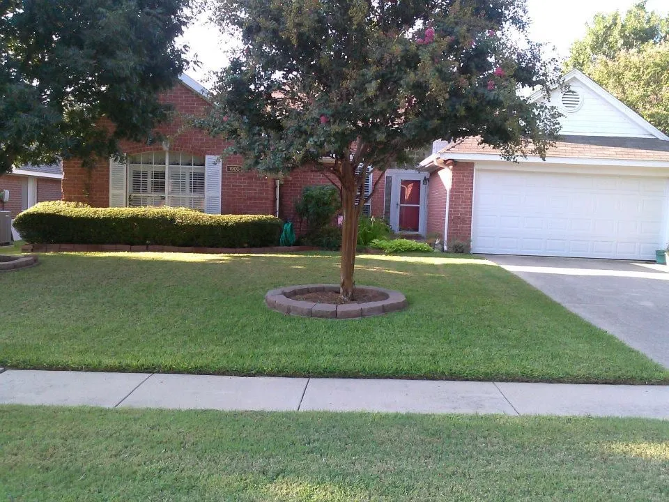 Trusted yard maintenance with custom design in Burleson, TX by Grassmasters Weed Control