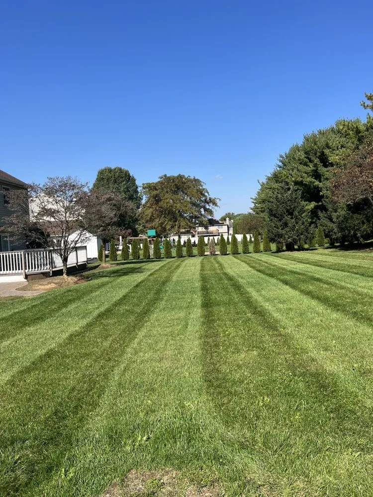 Top-rated garden landscaping in Whitehall, PA by Grassmasters