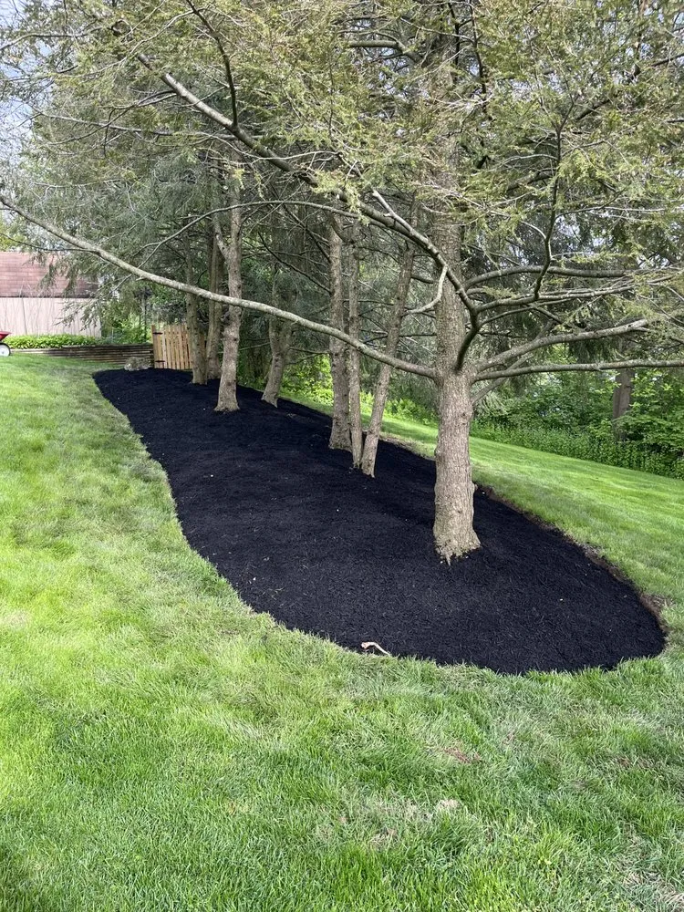 Top-rated lawn care service for year-round maintenance in Whitehall, PA by Grassmasters