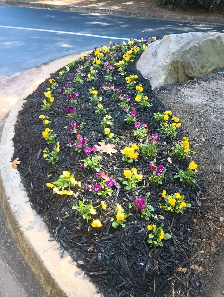 Trusted landscaping services for outdoor upgrades across McDonough, GA - Grassmex