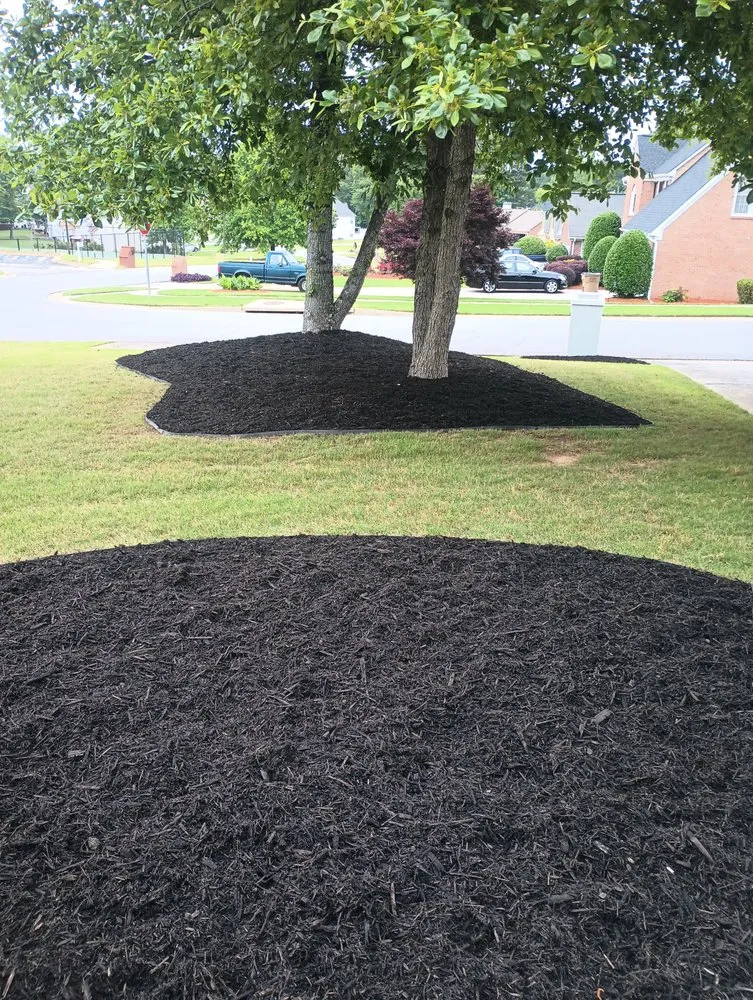 Local landscape design in McDonough, GA by Grassmex