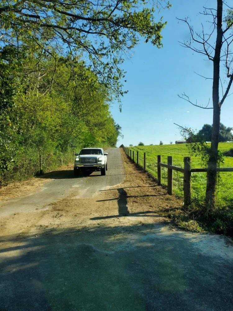 Affordable landscaping services experts serving Headland, AL - Grassnall