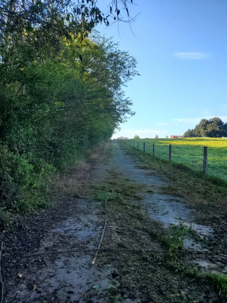 Affordable residential landscaping for beautiful yards across Headland, AL - Grassnall