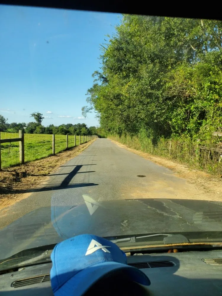 Custom landscape installation with custom design across Headland, AL - Grassnall