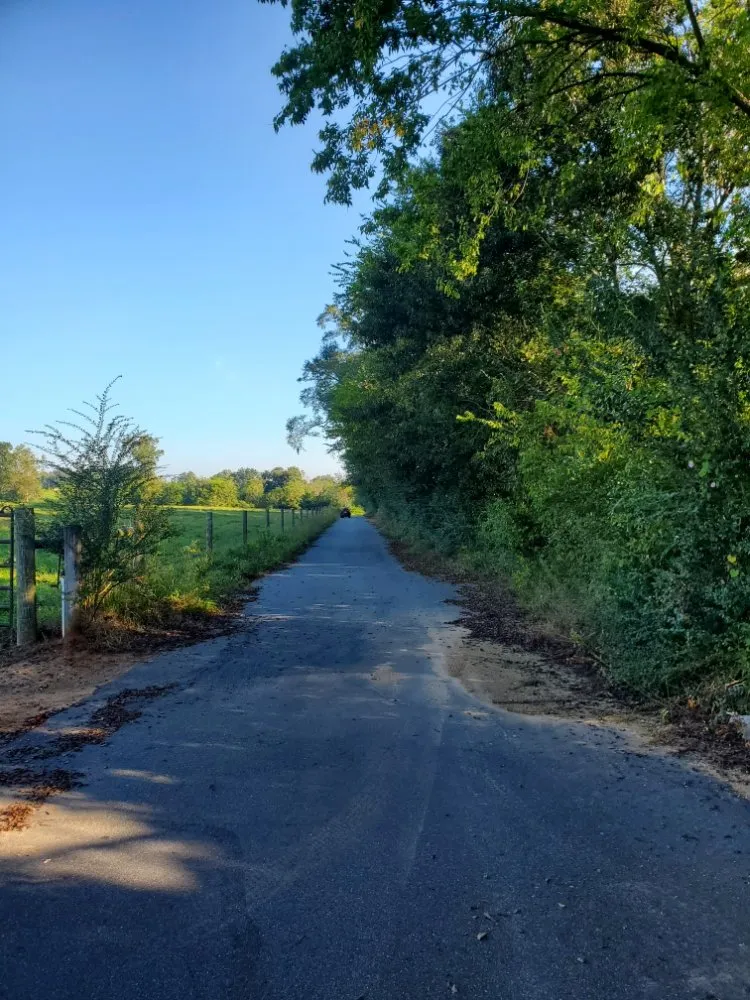 Trusted residential landscaping in Headland, AL - Grassnall