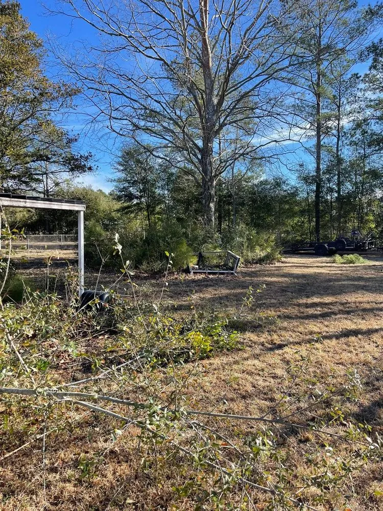 Professional residential landscaping in Leesburg, GA by Grassologist