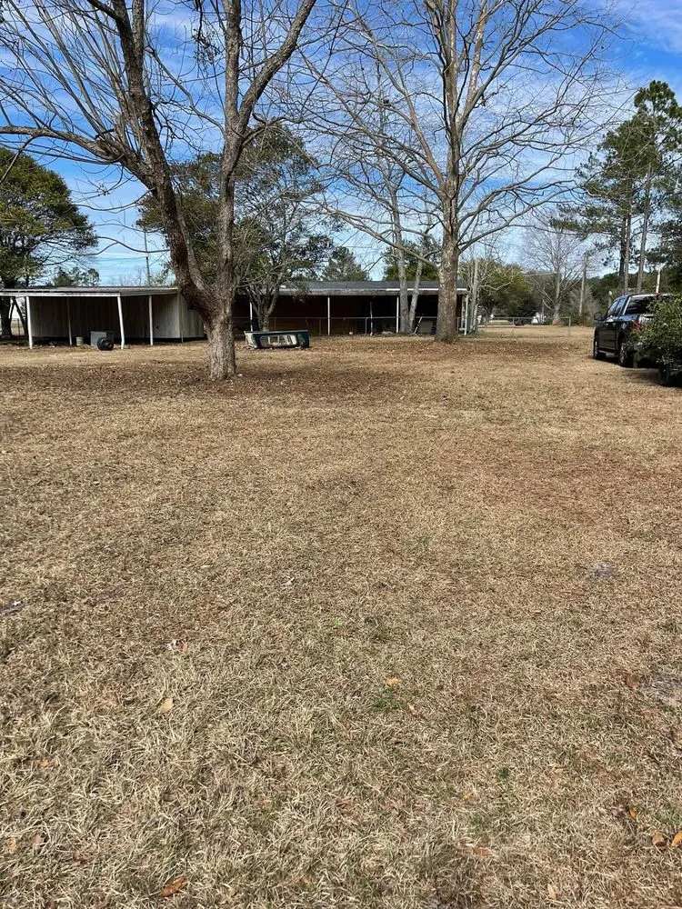 Local garden landscaping for residential properties in Leesburg, GA by Grassologist