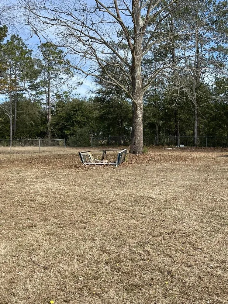 Reliable yard cleanup service near you across Leesburg, GA - Grassologist