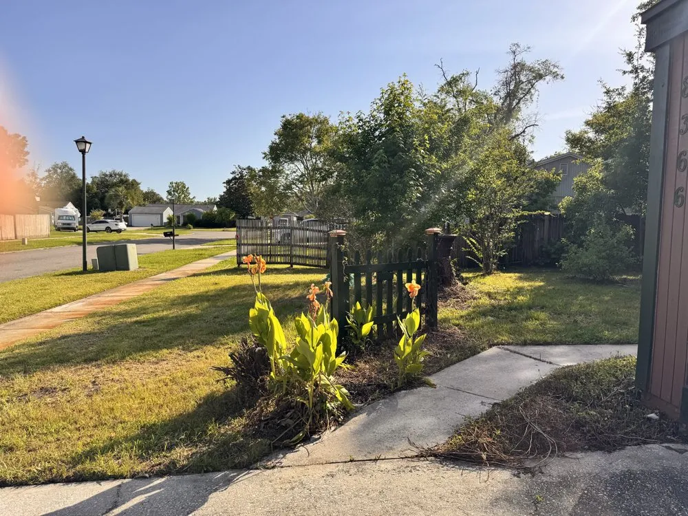 Local landscape installation for outdoor upgrades in Jacksonville, FL by Grassology Of Jacksonville