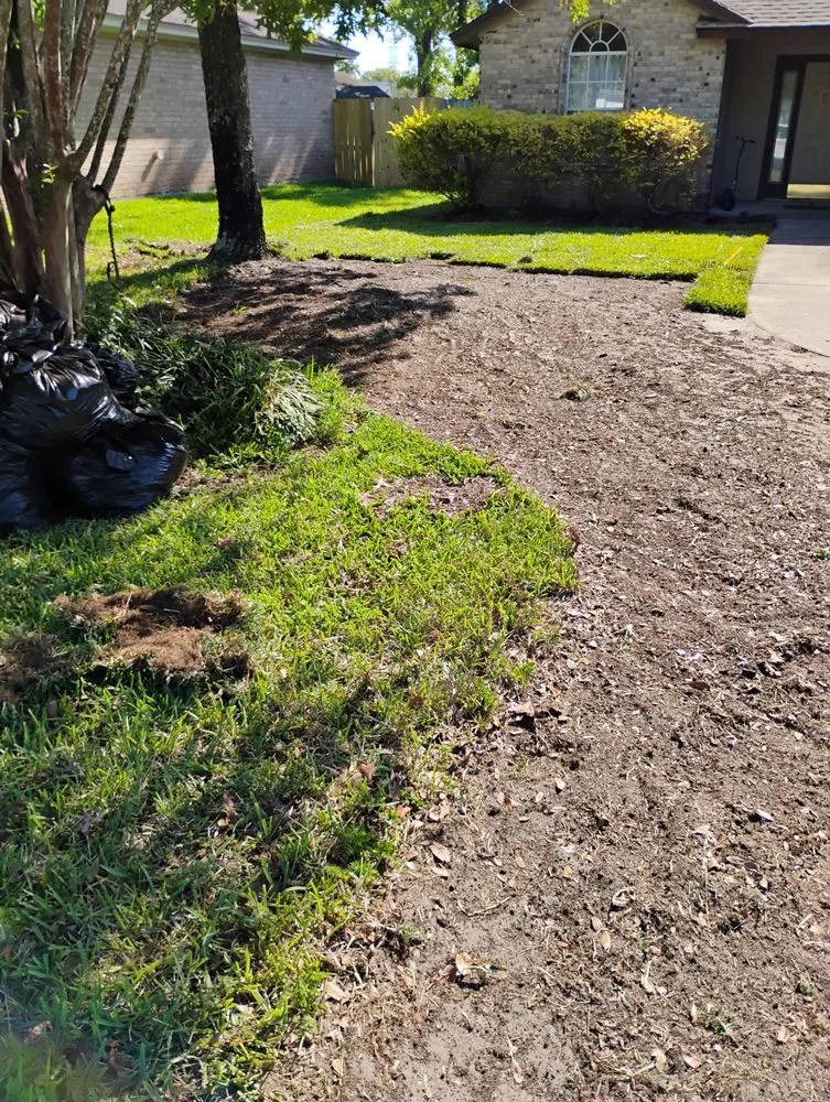Reliable lawn care service for year-round maintenance across Jacksonville, FL - Grassology Of Jacksonville