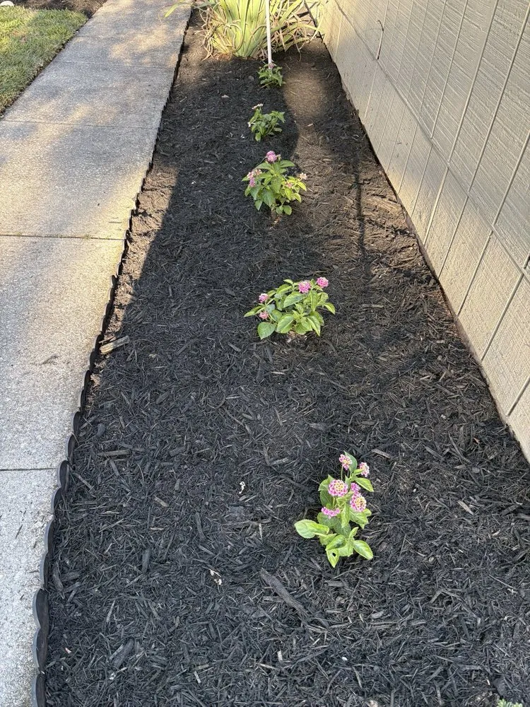 Affordable landscaping services experts serving Jacksonville, FL - Grassology Of Jacksonville