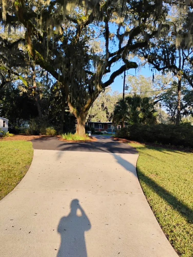 Local landscape design in Jacksonville, FL by Grassology Of Jacksonville