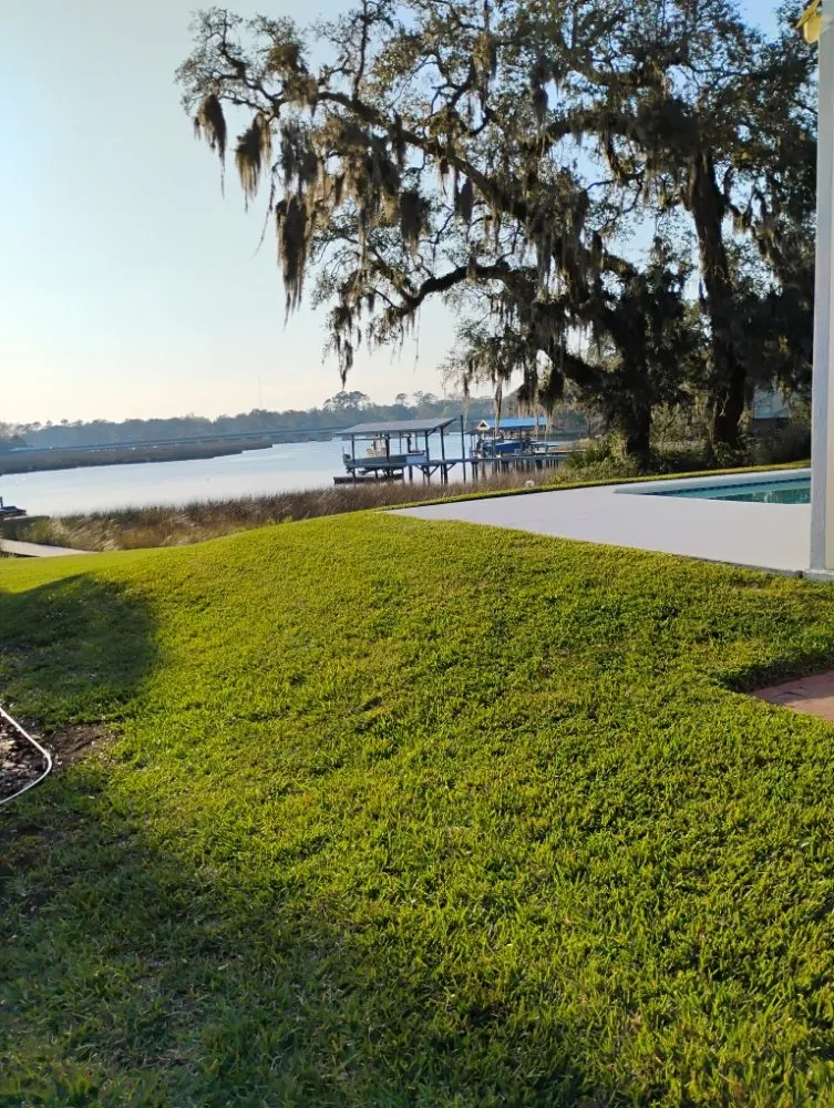 Custom outdoor landscaping near you across Jacksonville, FL - Grassology Of Jacksonville