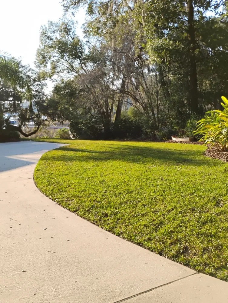 Affordable landscaping services experts serving Jacksonville, FL - Grassology Of Jacksonville