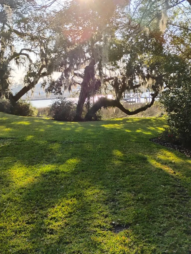 Top-rated landscaping services in Jacksonville, FL by Grassology Of Jacksonville