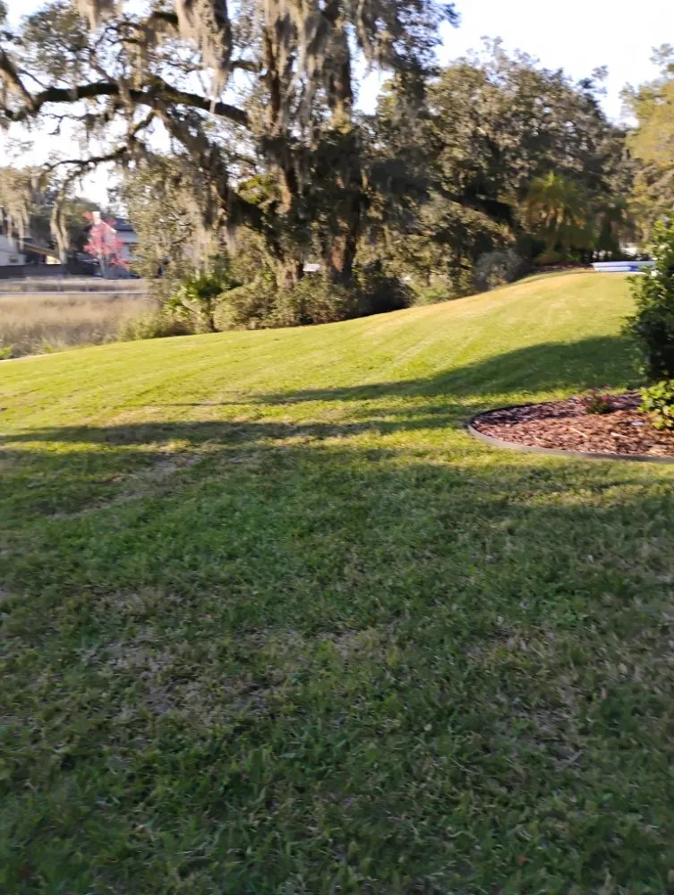 Reliable lawn care service in Jacksonville, FL - Grassology Of Jacksonville