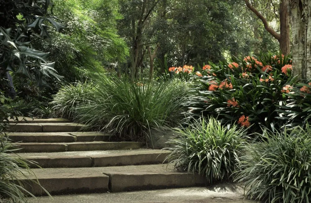 Affordable landscaping services for homes across Mashpee, MA - Grasso’s Landscape Construction