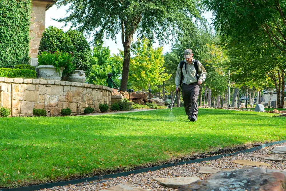 Expert landscape design in Lewisville, TX - Grassperson Lawn Care & Landscape