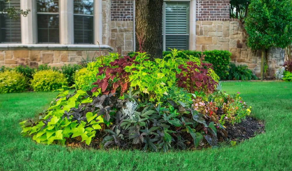 Custom landscaping services in Lewisville, TX by Grassperson Lawn Care & Landscape