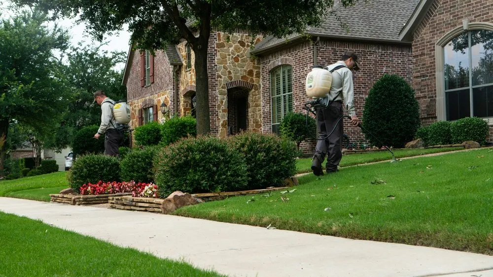 Trusted landscape design for homes across Lewisville, TX - Grassperson Lawn Care & Landscape