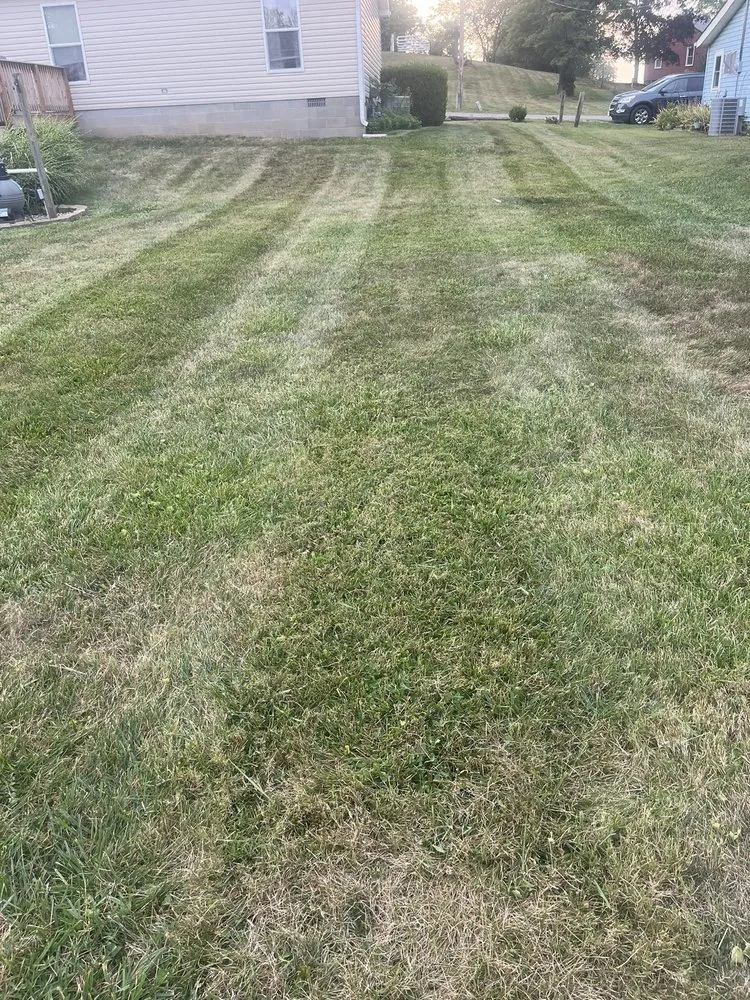Trusted landscape installation for homes across Saint Paul, IN - Grassquatch Mowing Service