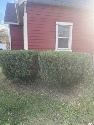 Local yard maintenance in Saint Paul, IN by Grassquatch Mowing Service