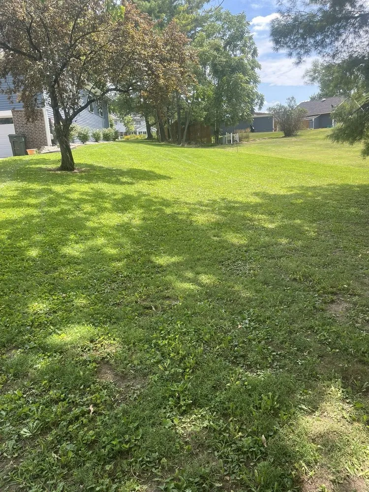 Reliable yard maintenance experts serving Saint Paul, IN - Grassquatch Mowing Service