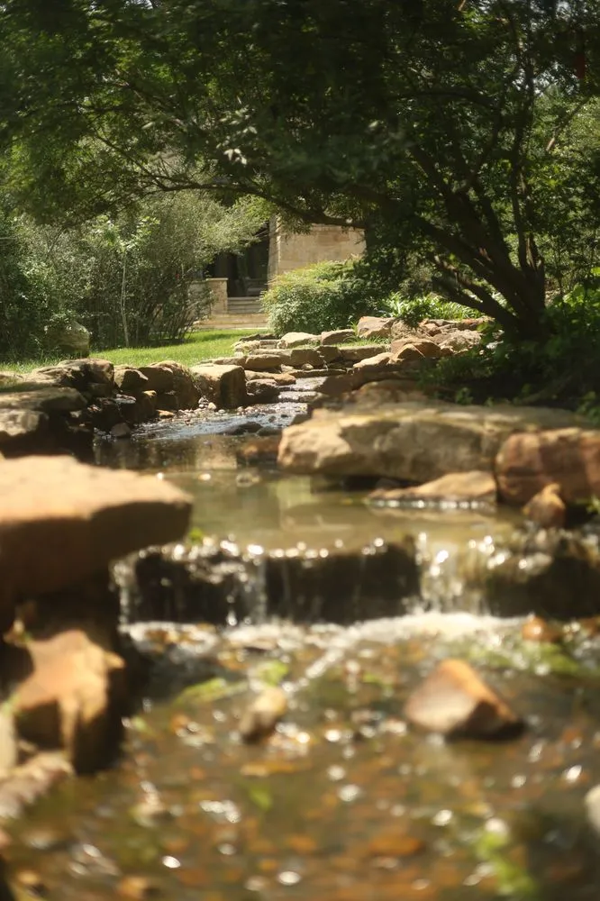 Reliable lawn care service for beautiful yards in College Station, TX by Grassroots