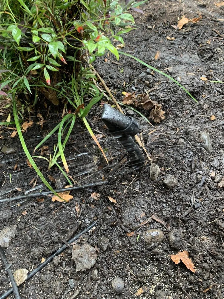 Expert residential landscaping for beautiful yards in Lake Oswego, OR by Grassroots Construction