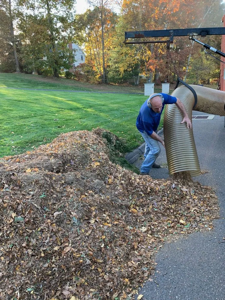 Custom landscape installation in Ellington, CT by Grassroots