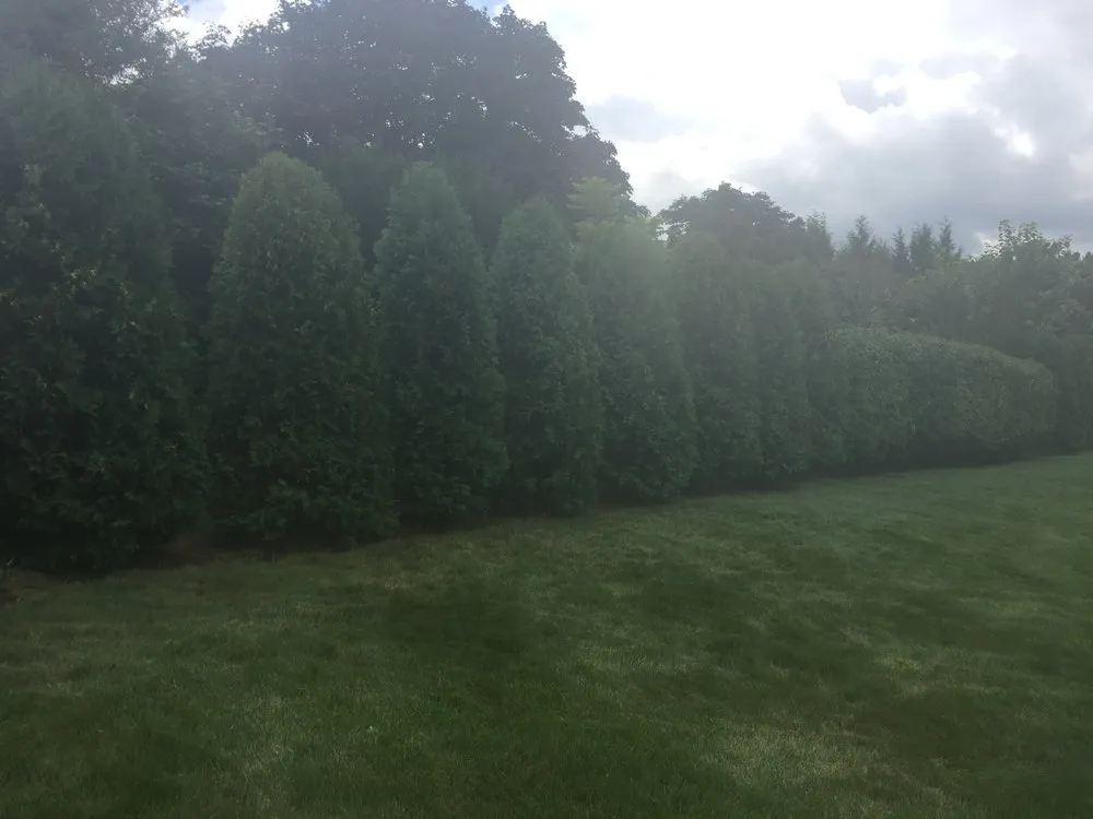 Expert lawn care service for homes across Ellington, CT - Grassroots