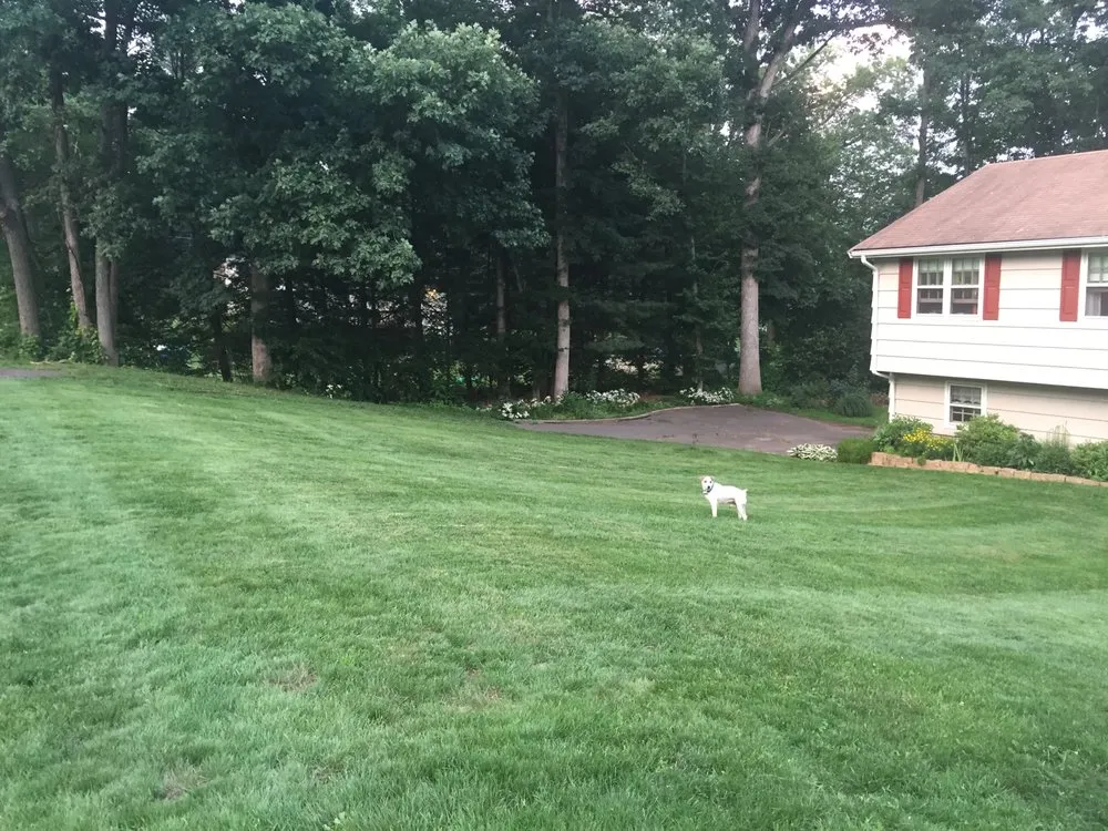 Affordable outdoor landscaping in Ellington, CT by Grassroots
