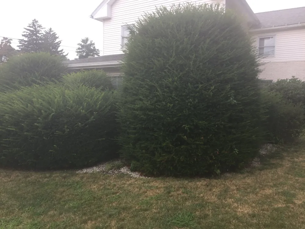 Expert residential landscaping with custom design in Ellington, CT by Grassroots