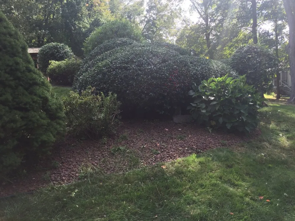 Professional lawn mowing service for outdoor upgrades in Ellington, CT by Grassroots