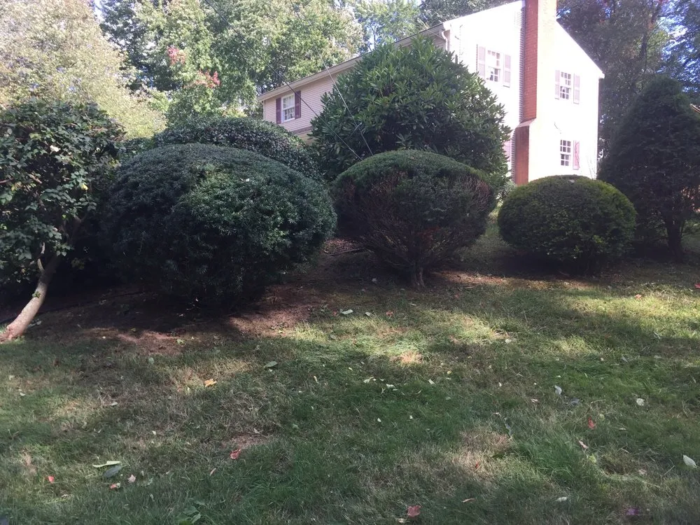 Reliable yard cleanup service for homes across Ellington, CT - Grassroots
