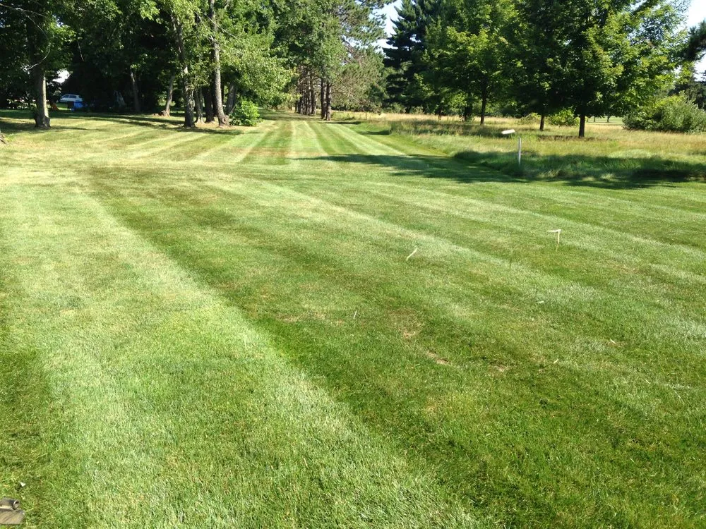 Expert landscape installation for year-round maintenance across Ellington, CT - Grassroots