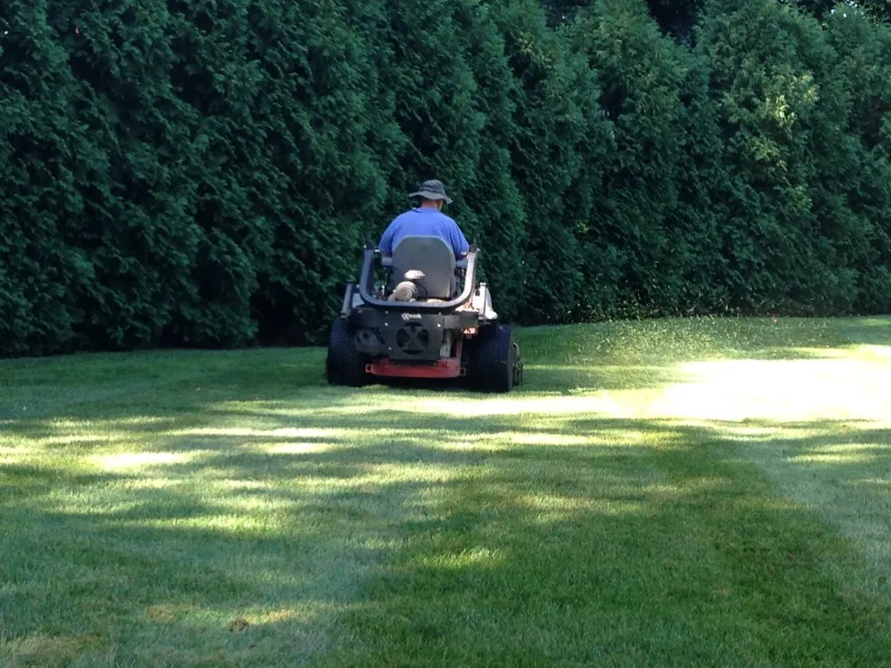 Top-rated yard cleanup service for outdoor upgrades across Ellington, CT - Grassroots