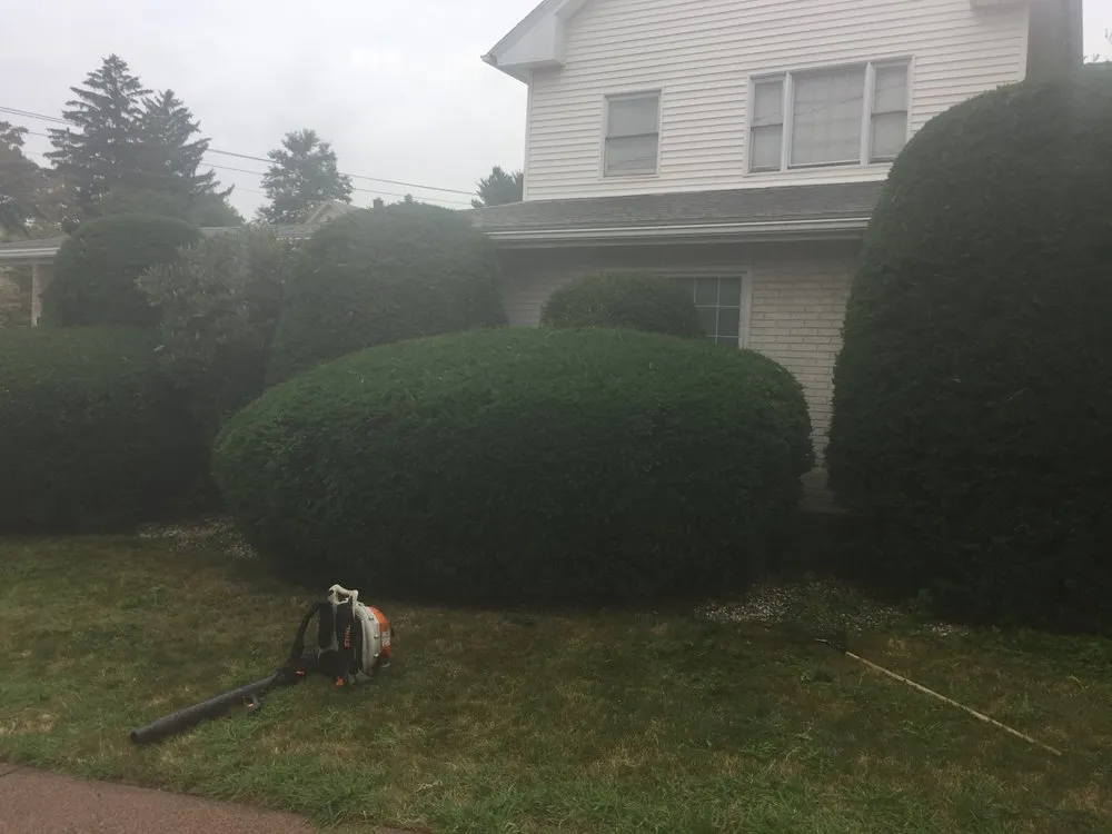 Trusted landscaping services in Ellington, CT - Grassroots